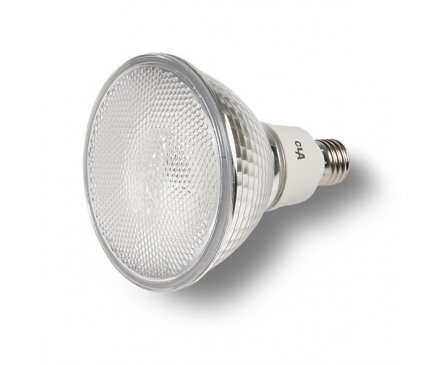 Led Par38