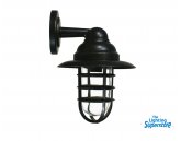 Pier Ant Bronze